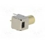 Гнездо rca NINIGI CC-134BGOLD (CC-134B/GOLD)