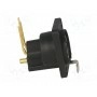 Гнездо xlr CLIFF CP30082 (CP30082)