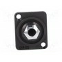 Гнездо jack 6, 35мм CLIFF CP303080 (CP303080)