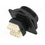 Гнездо rj45 SWITCHCRAFT DCP-RJ6T-SD (DCP-RJ6T-SD)