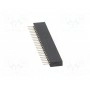 Гнездо штыревой CONNFLY DS1065-01-1*24S8BV (DS1065-01-1X24S8BV)