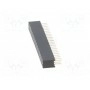 Гнездо штыревой CONNFLY DS1065-03-2*24S8BV (DS1065-03-2X24S8BV)