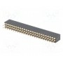 Гнездо штыревой CONNFLY DS1065-03-2*24S8BV (DS1065-03-2X24S8BV)