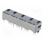 Гнездо rj45 AMPHENOL RJHSE-5385-04 (RJHSE538504)