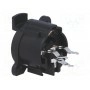 Гнездо xlr CLIFF XNACF3V (CP300284) (CP300284)