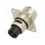 Круглый гнездо AMPHENOL RT0010-4PNH (RT0010-4PNH)