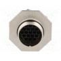 Круглый гнездо, вилка AMPHENOL RT0W714-19SNH-K (RT0W71419SNH-K)