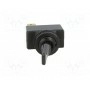 Тумблер положения 2 SCI R13-18B (R1318BS01)