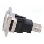 Соединитель гнездо usb a, гнездо usb b CLIFF CP30207NM3 (CP30207NM3)