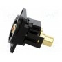 Соединитель гнездо rca, с обеих сторон CLIFF CP30230MB (CP30230MB)