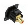 Соединитель гнездо rca, с обеих сторон CLIFF CP30230MB (CP30230MB)
