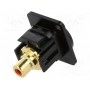 Соединитель гнездо rca, с обеих сторон CLIFF CP30230MB (CP30230MB)