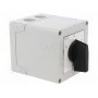 Кулачковый переключатель 3-позиционный LOVATO ELECTRIC GX1653P (GX1653P)