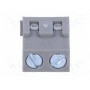 Зажимная рейка для печатных плат угловой 90° DEGSON ELECTRONICS DG381-3.81-02P-11-00A(H) (DG381-3.81-2P11)