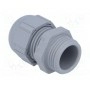 Кабельный ввод PG11 LAPP KABEL 53015020 (SKINTOP-PG11G)