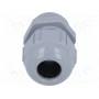 Кабельный ввод PG11 LAPP KABEL 53015020 (SKINTOP-PG11G)