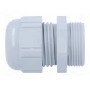 Кабельный ввод PG21 LAPP KABEL 53015050 (SKINTOP-PG21G)