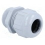 Кабельный ввод PG21 LAPP KABEL 53015050 (SKINTOP-PG21G)