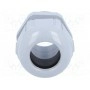 Кабельный ввод PG21 LAPP KABEL 53015050 (SKINTOP-PG21G)