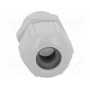 Кабельный ввод LAPP KABEL 53111510 (STR-M16-R7035)