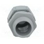 Кабельный ввод LAPP KABEL 53111120 (STR-M20-R7001)