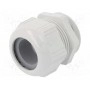 Кабельный ввод LAPP KABEL 53111560 (STR-M50-R7035)