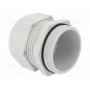 Кабельный ввод LAPP KABEL 53111560 (STR-M50-R7035)