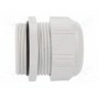 Кабельный ввод LAPP KABEL 53111560 (STR-M50-R7035)