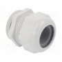 Кабельный ввод LAPP KABEL 53111560 (STR-M50-R7035)