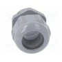 Кабельный ввод LAPP KABEL 53015160 (STR-PG-29-RAL-7001)