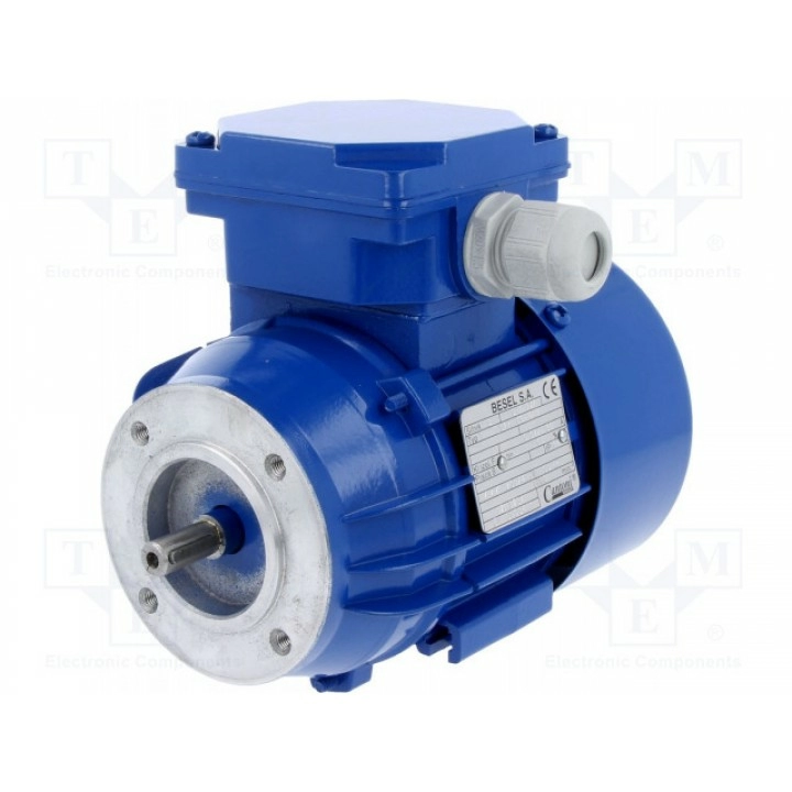 Электродвигатель ac 60вт BESEL SKH56-4A2 (SKH56-4A2)