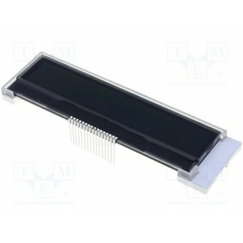 Дисплей LCD RAYSTAR OPTRONICS RX2402A-TIW