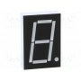 Дисплей LED 7-сегментный 26мм 1" OPTO Plus LED Corp. OPD-S10020SR-BW (OPD-S10020SR-BW)
