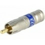 Вилка rca PCT PCT-RCA6 (PCT-RCA6)
