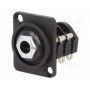 Гнездо jack 6, 35мм CLIFF CP303080 (CP303080)
