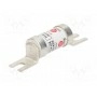 Предохранитель плавкая вставка BUSSMANN TCP100 (TCP100)