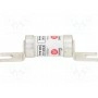 Предохранитель плавкая вставка BUSSMANN TCP100 (TCP100)