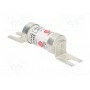 Предохранитель плавкая вставка BUSSMANN TCP100 (TCP100)