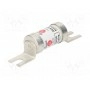 Предохранитель плавкая вставка BUSSMANN TCP100 (TCP100)