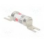 Предохранитель плавкая вставка BUSSMANN TCP100 (TCP100)
