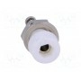 Гнездо ELECTRO-PJP 224-M5-I-WS (PJ224M5-W)
