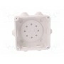 Корпус соединительная коробка ELEKTRO-PLAST NASIELSK 0243-00 (EPN-0243-00)