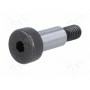 Установочный винт ELESA+GANTER ISO 7379-8-M6-16 (ISO7379-8-M6-16)