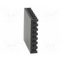 Радиатор штампованный черный FISCHER ELEKTRONIK ICK BGA 29 X 29 X 6 (ICKBGA29X29X6)