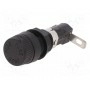 Гнездо LITTELFUSE 03450623H (03450623H)