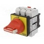 Главный аварийный выключатель-разъединитель SCHNEIDER ELECTRIC VCF3 (VCF3)