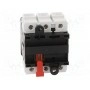 Главный аварийный выключатель-разъединитель SCHNEIDER ELECTRIC VCF4 (VCF4)