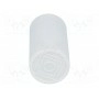 Конденсатор для двигателей фазосдвигающий SR PASSIVES CBB60A-2450 (CBB60A-2-450)