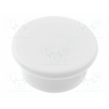 Магнит постоянный магнит неодимовый ELESA+GANTER GN53.1-ND-40-WS
