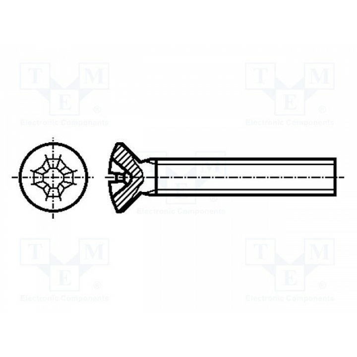 Винт M3x10 DIN 966A Головка потайная BOSSARD 1158473 (B3X10-BN392)